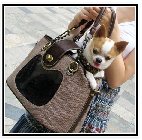 dior pet carrier|dog pocketbook carriers.